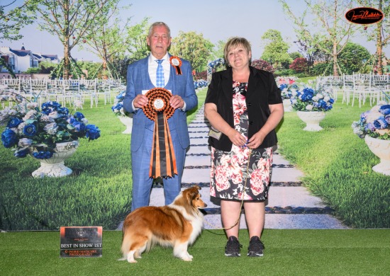 Working Dog Club of Vic Champ Show, Sun 3rd Nov