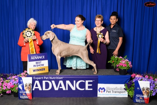 Sunbury Canine Club - Podium, Nov 24