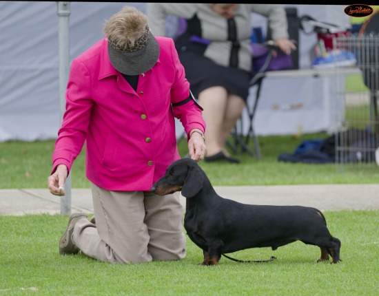 Southern Districts Shows - Apr 25