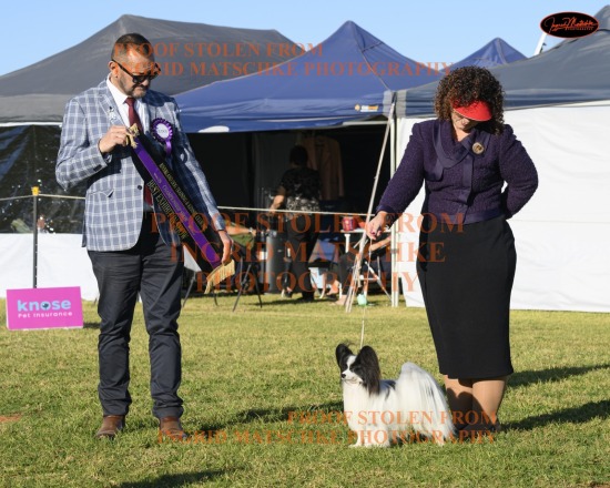 Riverland KC Champ Shows, Jun 25