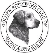Golden Retriever Club of SA Champ Shows, Aug 25