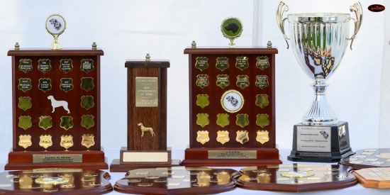 Irish Wolfhound Club of SA 10th Champ Show - Oct 25