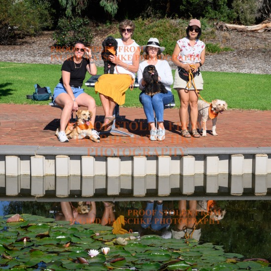 Caring Canine Companions, West Lakes - Mar 26
