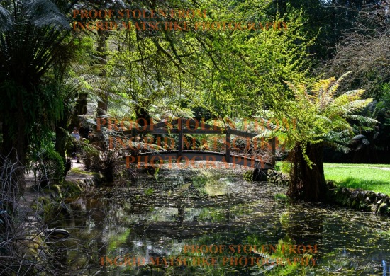 Sherbrooke Private Shoot (PM) - Sept 26